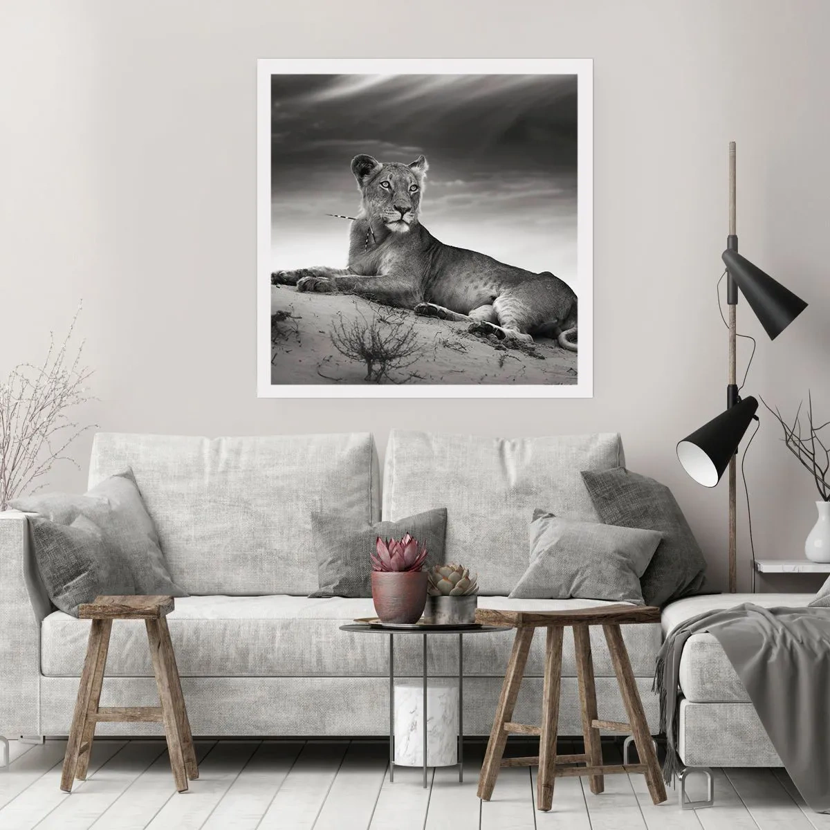 Plakat - Odpoczynek królowej pustyni - 60x60 cm