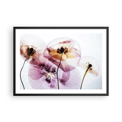 Plakat w czarnej ramie - Delikatne przezroczyste kwiaty w pastelowych odcieniach - 70x50cm - Kwiatów ciała przezrocze - Nowoczesna dekoracja ścienna do salonu i sypialni ARTTOR