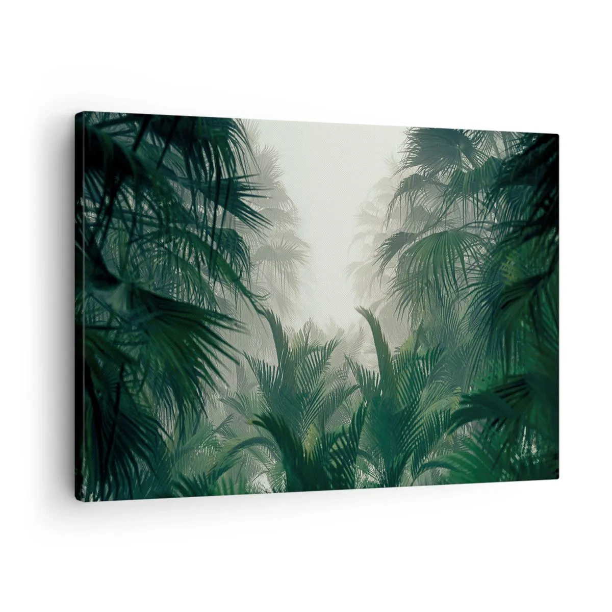 Obraz na płótnie - Tropikalna roślinność w gęstej mgle w lesie deszczowym - 70x50cm - Tropikalna tajemnica - Nowoczesna dekoracja ścienna do salonu i sypialni ARTTOR