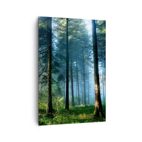 Obraz na płótnie - Leśna ścieżka oświetlona promieniami porannego słońca - 70x100cm - Rozpromieniony o poranku - Nowoczesna dekoracja ścienna do salonu i sypialni ARTTOR