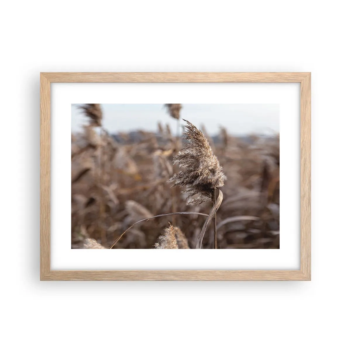 Plakat w ramie jasny dąb - Czas odlecieć z wiatrem - 40x30 cm