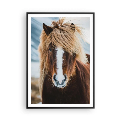Plakat w czarnej ramie - Czujesz wolność? - 70x100 cm