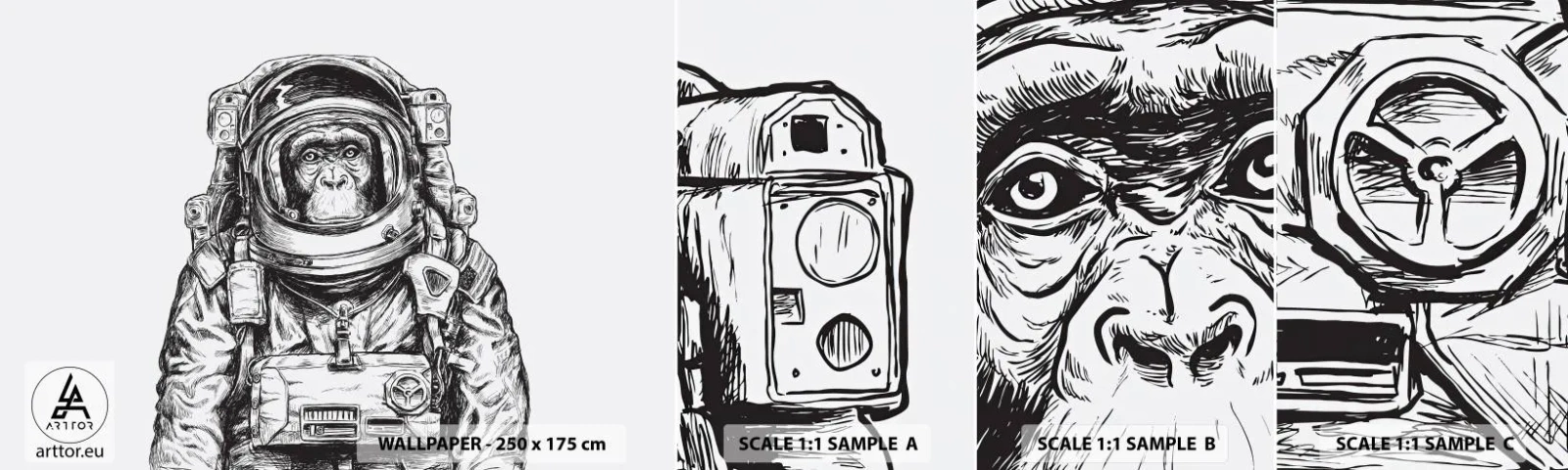 Fototapeta Próbka Standard Eco - Alternatywna ewolucja - Abstrakcja, Astronauta, Małpa - 100x30 cm