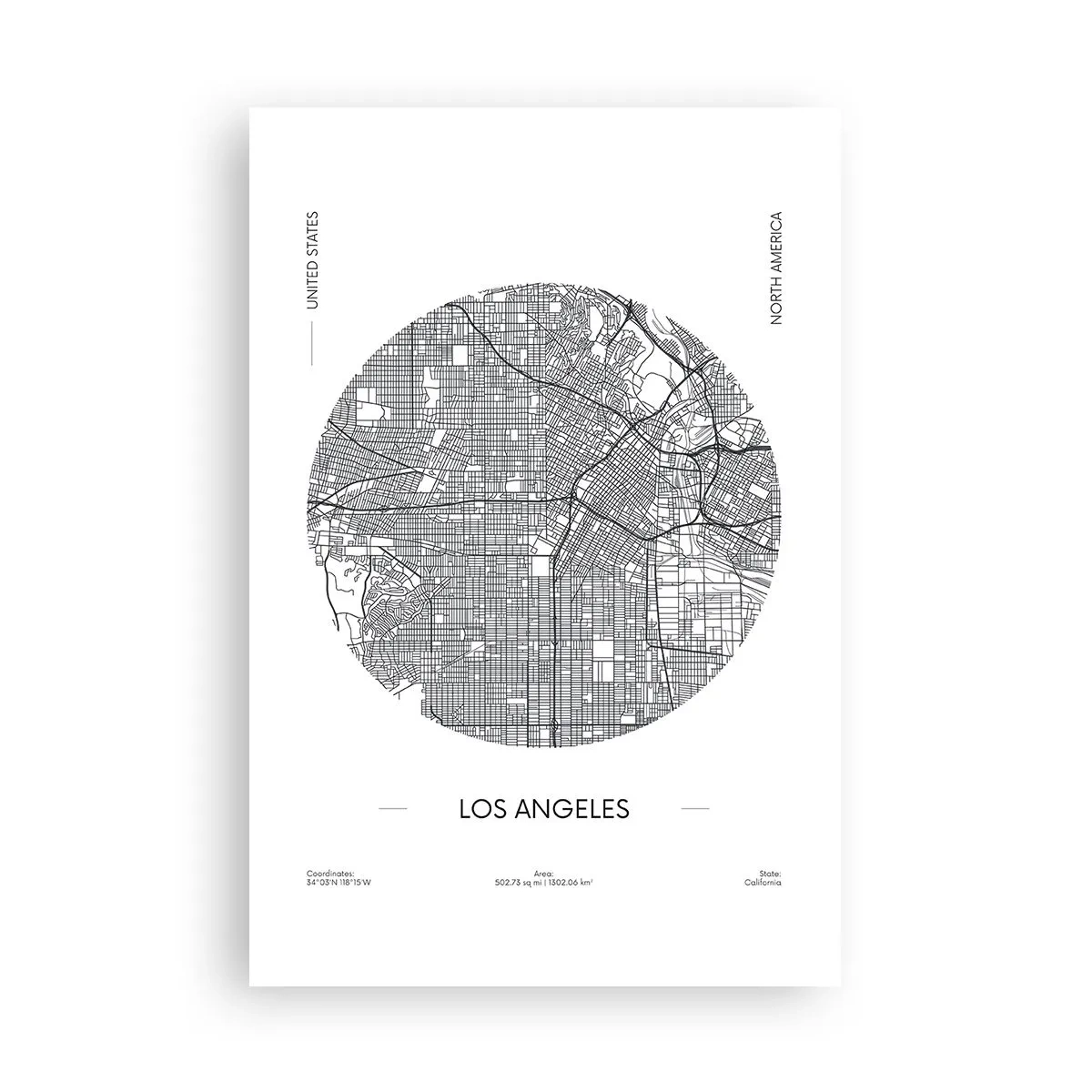 Plakat - Anatomia Los Angeles - 61x91 cm