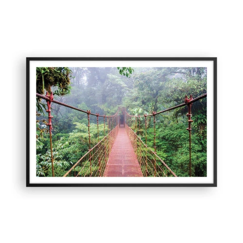 Plakat w czarnej ramie - Zawieszony nad koronami - 91x61 cm