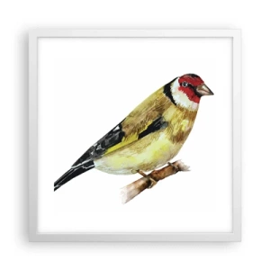 Plakat w białej ramie - Ptasi portret - 40x40 cm