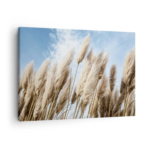 Obraz na płótnie - Delikatne trawy pampasowe na tle błękitnego nieba z lekkimi chmurami - 70x50cm - Słoneczna i wietrzna pieszczota - Nowoczesna dekoracja ścienna do salonu i sypialni ARTTOR