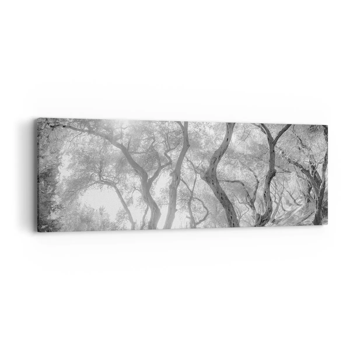Obraz na płótnie - W oliwnym gaju - 90x30 cm