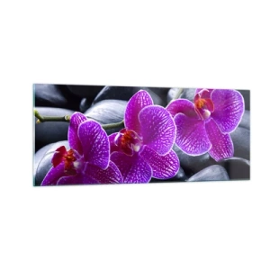 Obraz na szkle - Kamienie pojaśniały z zachwytu - 100x40 cm