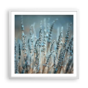 Plakat w białej ramie - Pachnący łan - 60x60 cm