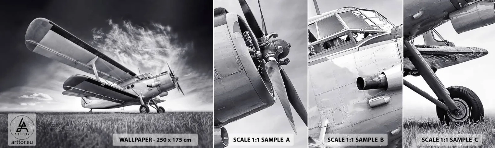 Fototapeta Próbka Samoprzylepna Deluxe Sticker - Skrzydlaty wędrowiec - Samolot, Lotnictwo, Czarno-Biały - 100x30 cm