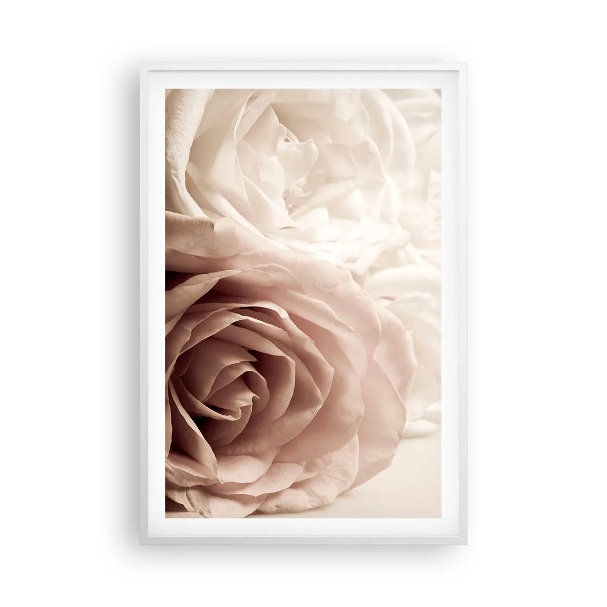Plakat w białej ramie - W sercu róży - 61x91 cm