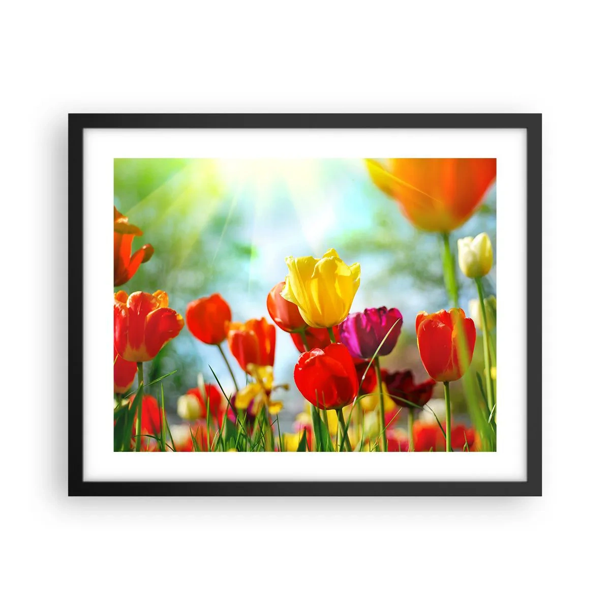 Plakat w czarnej ramie - Wszystkie barwy słońca - 50x40 cm