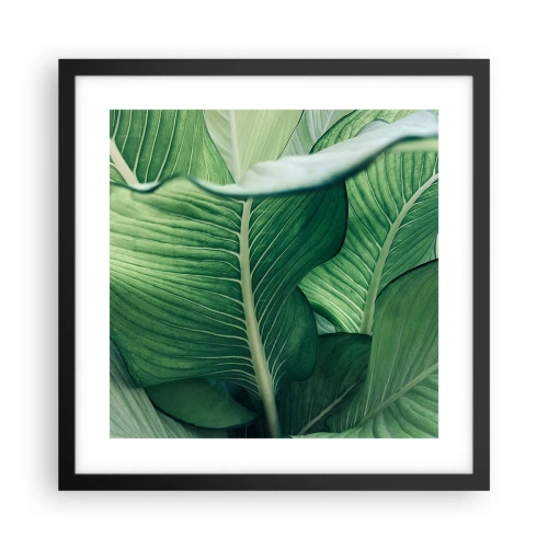 Plakat w czarnej ramie - Życie intensywnie zielone - 40x40 cm