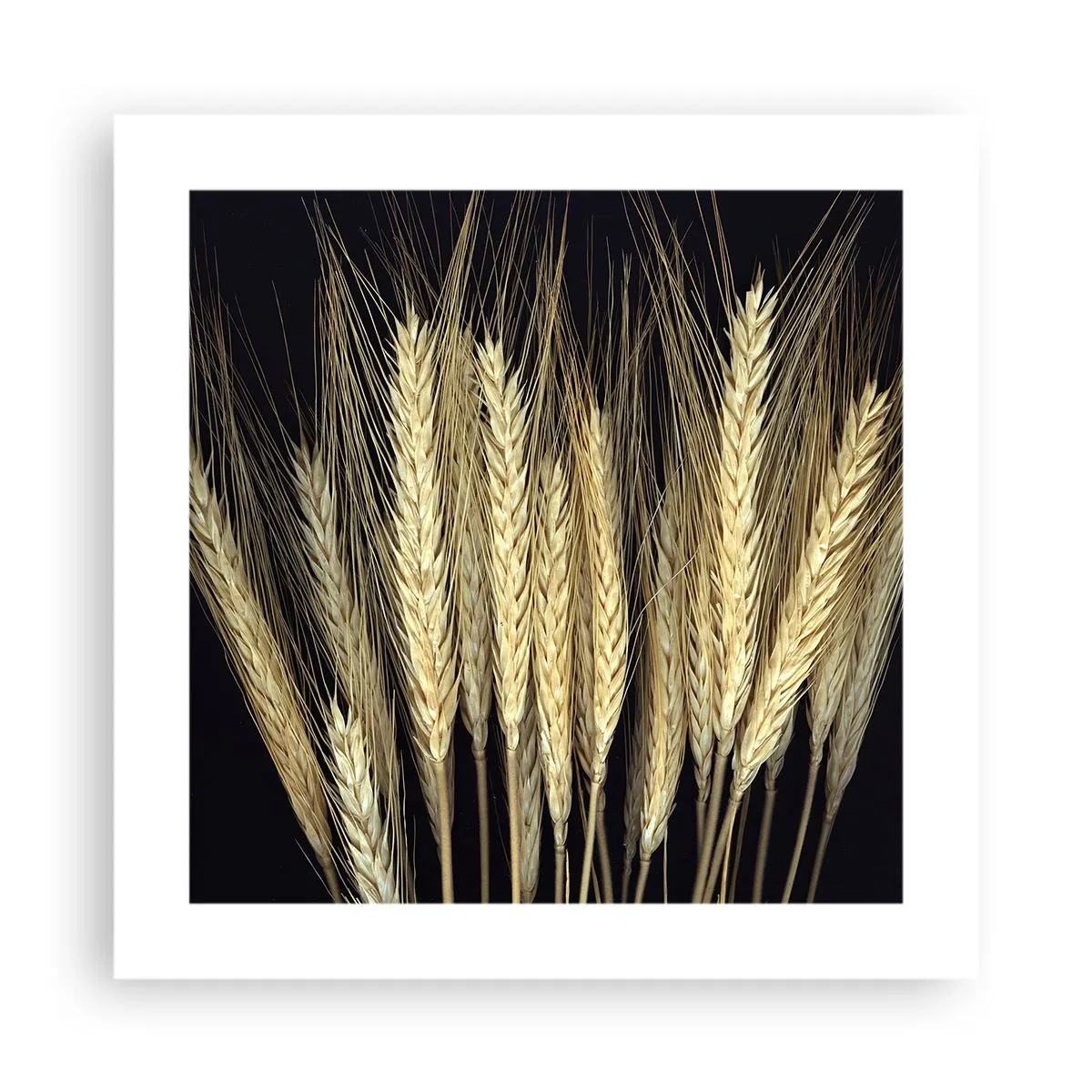 Plakat - Rustykalna magia - 40x40 cm