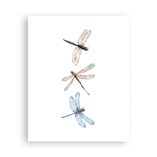 Plakat - Ważki nieważkie - 40x50 cm