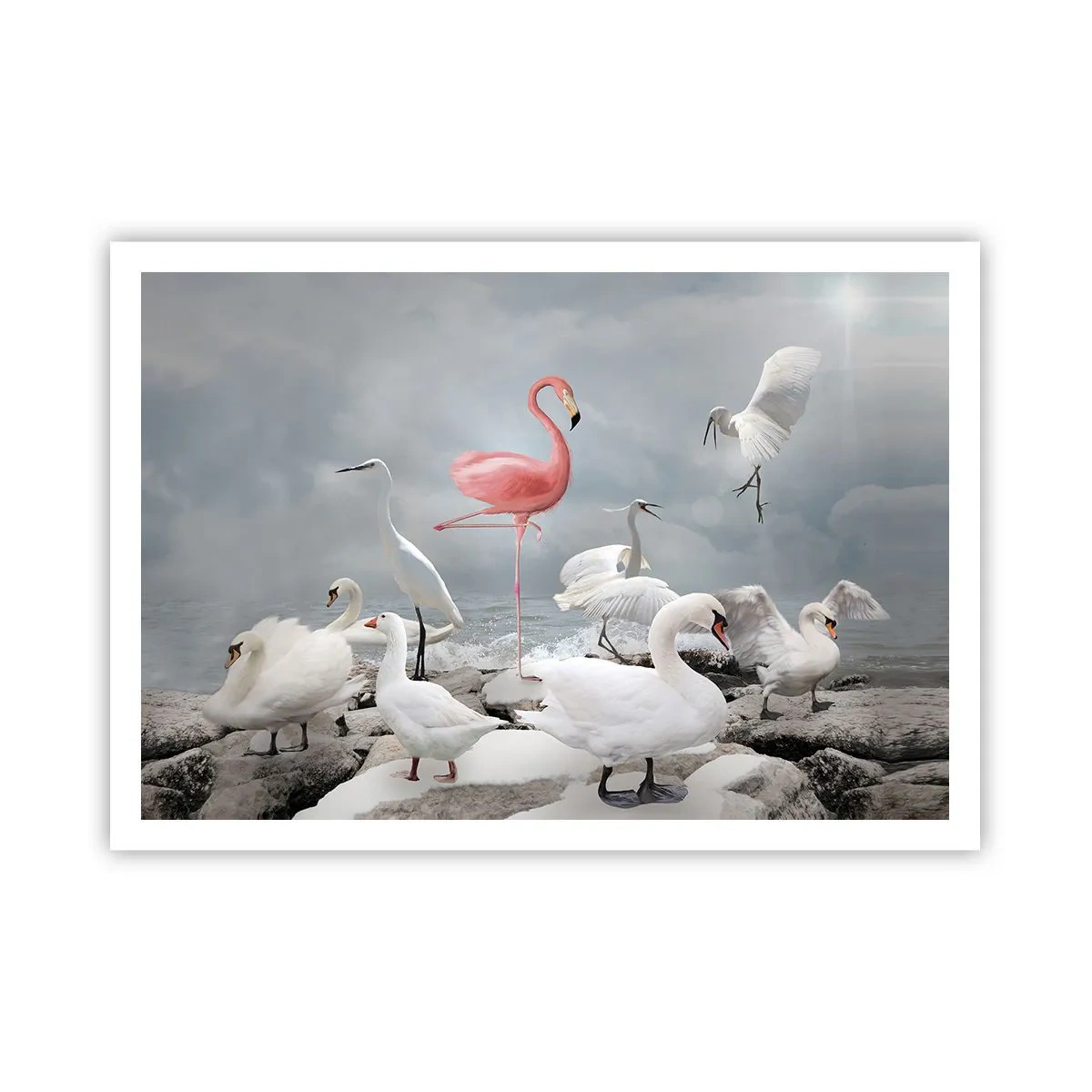 Plakat - Różowy flaming wśród białych łabędzi na tle jeziora - 100x70cm - Skąd się tu wziąłem? - Nowoczesna dekoracja ścienna do salonu i sypialni ARTTOR