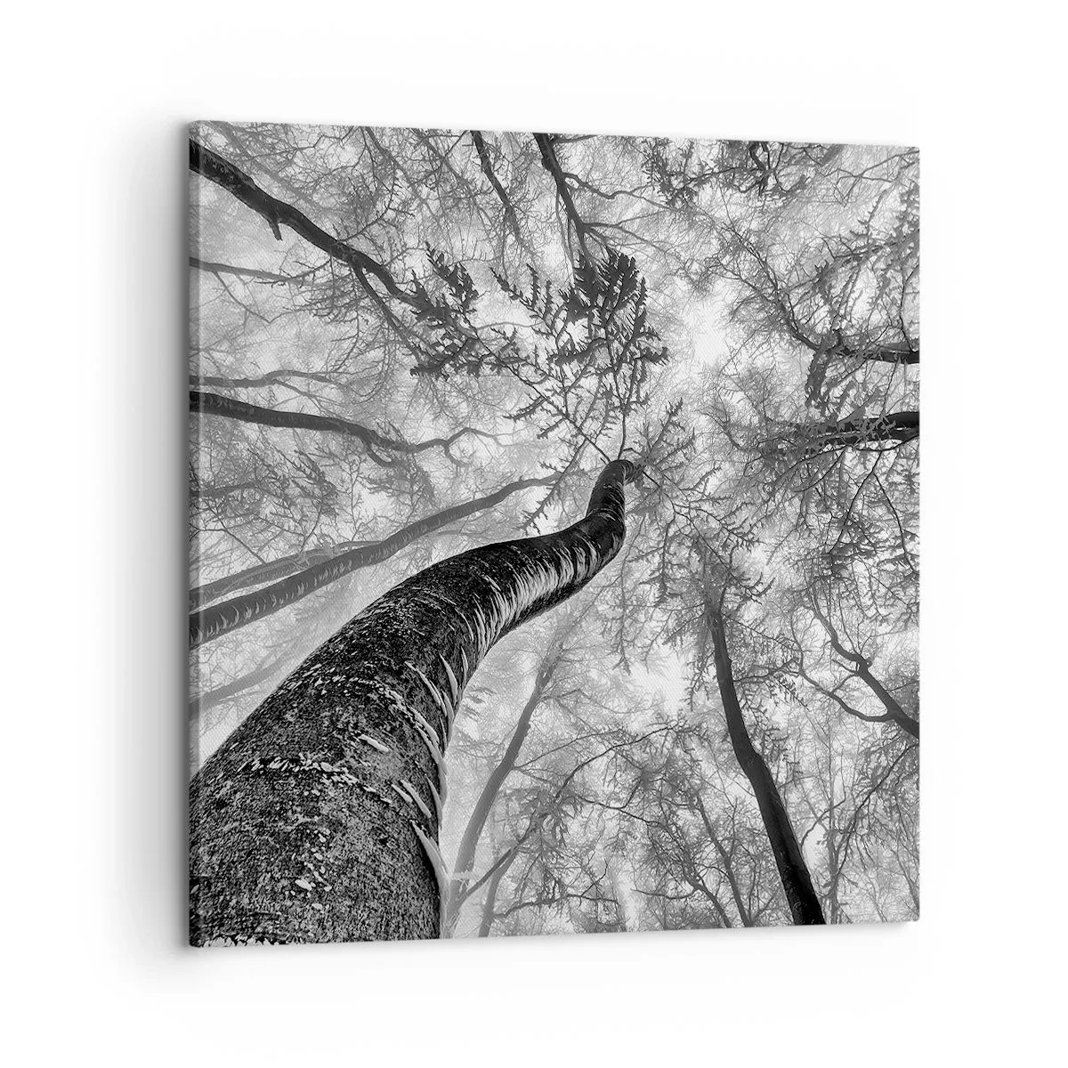 Obraz na płótnie - Wyścig do światła - 60x60 cm