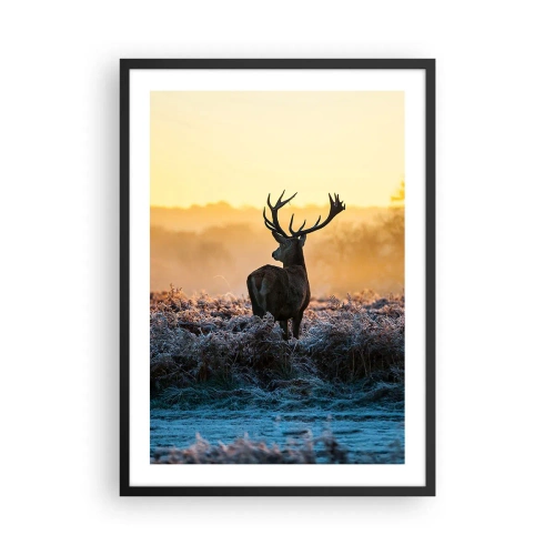Plakat w czarnej ramie - Jeleń na mroźnej polanie o wschodzie słońca - 50x70cm - Koronowany na swoich włościach - Nowoczesna dekoracja ścienna do salonu i sypialni ARTTOR