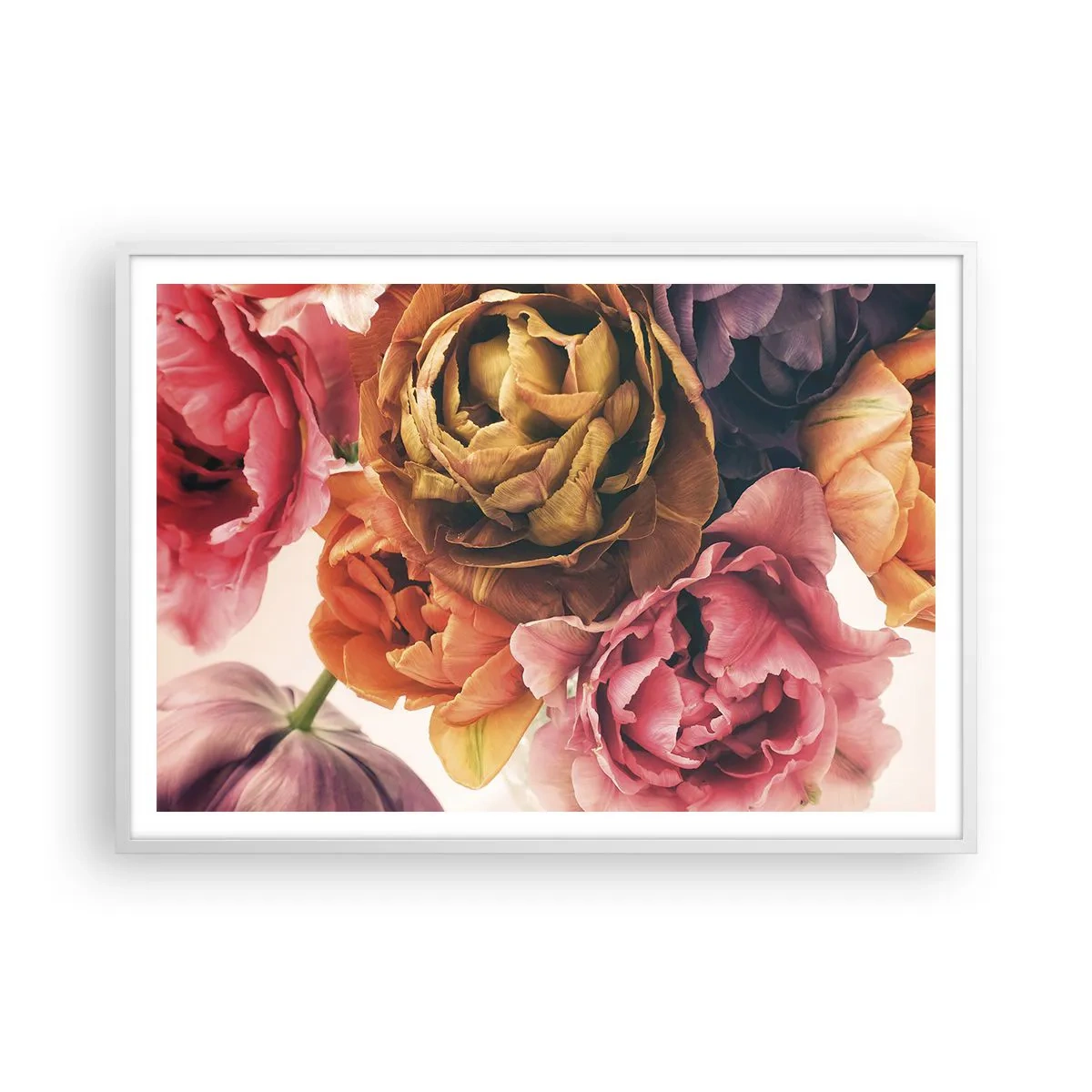 Plakat w białej ramie - Święto życia - 100x70 cm