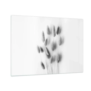 Obraz na szkle - Czarno-białe kłosy trawy na jasnym tle w stylu minimalistycznym - 70x50cm - Jej puszystość trawa - Nowoczesna dekoracja ścienna do salonu i sypialni ARTTOR