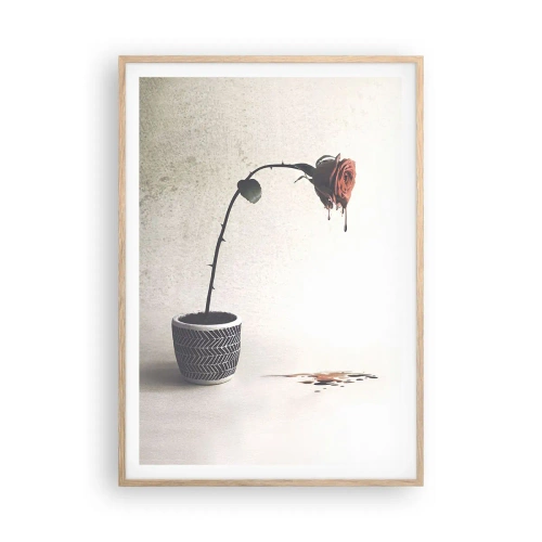 Plakat w ramie jasny dąb - Rosa dolorosa - 70x100 cm