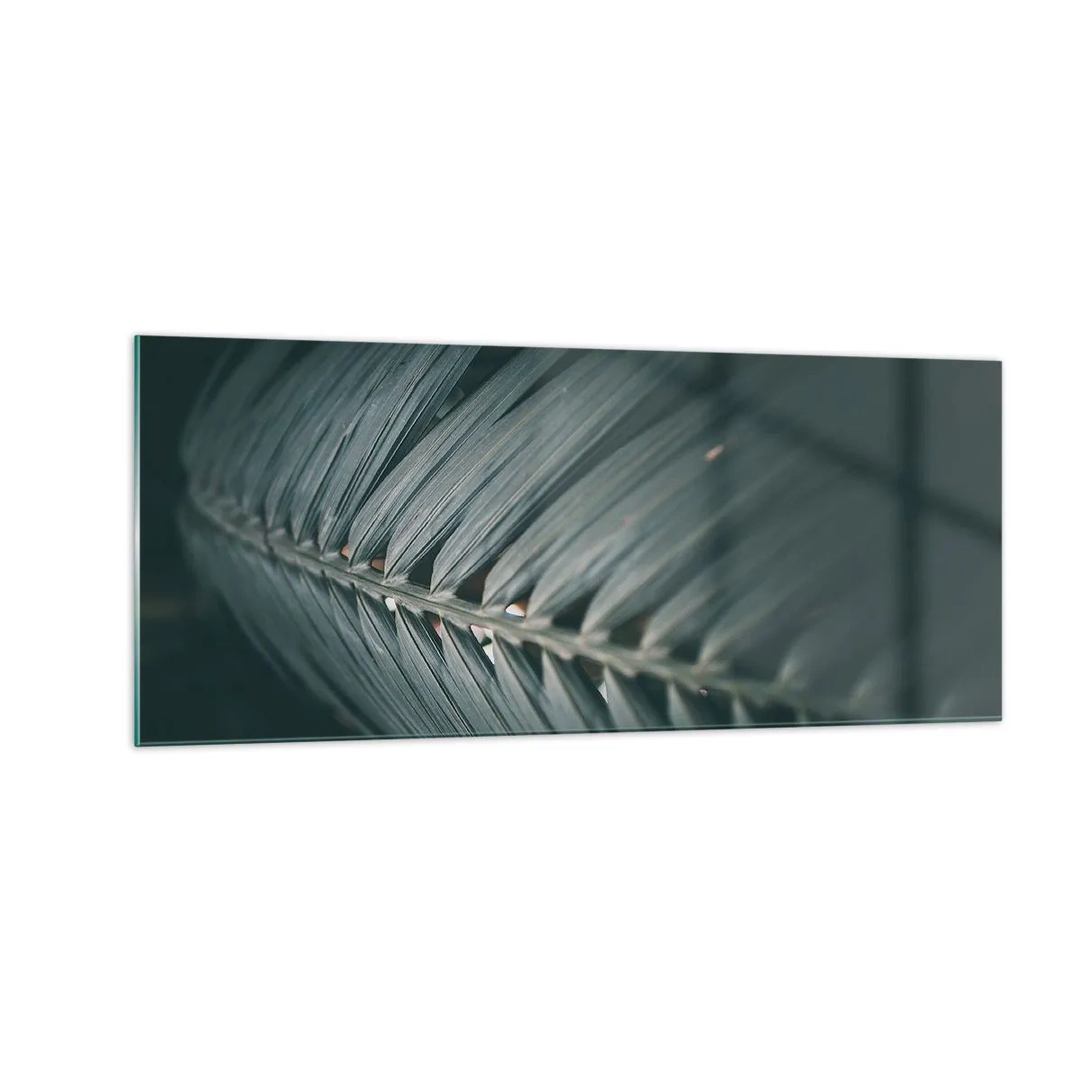 Obraz na szkle - Precyzja natury - 100x40 cm