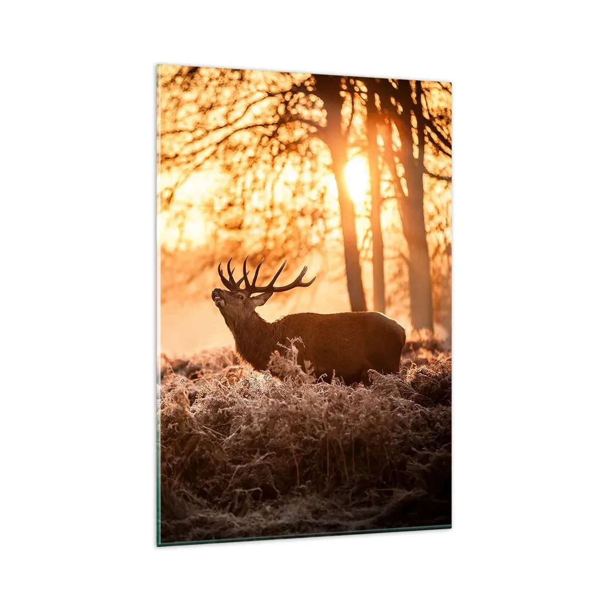 Obraz na szkle - Dwa jelenie o zachodzie słońca w zimowym krajobrazie - 80x120cm - Marzenie myśliwego - Nowoczesna dekoracja ścienna do salonu i sypialni ARTTOR