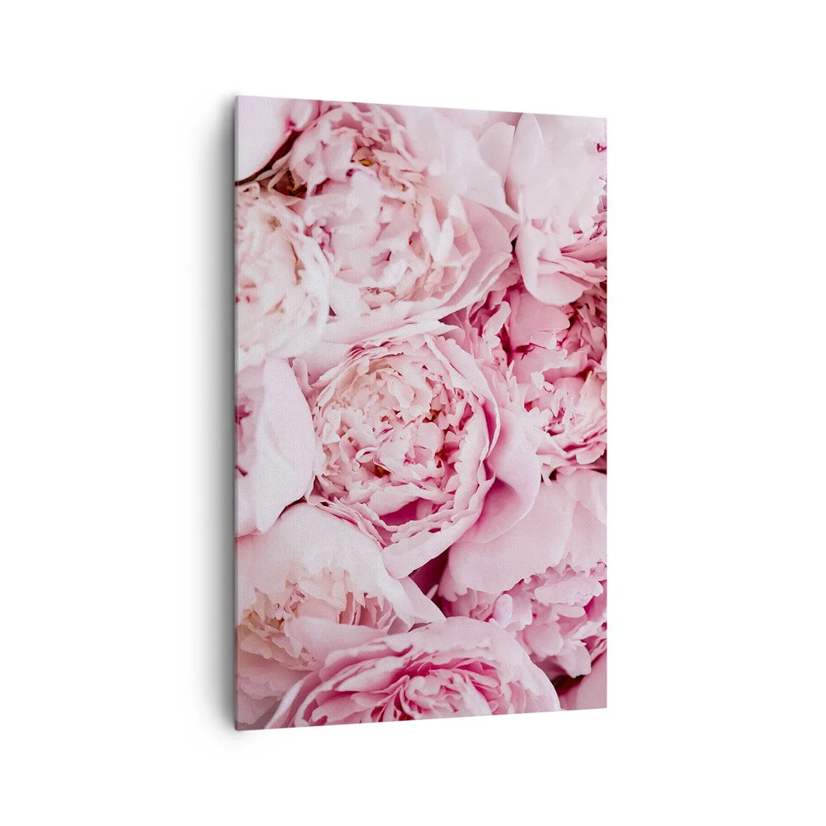 Obraz na płótnie - Bukiet różowych piwonii w zbliżeniu - 80x120cm - Przytulone i pachnące - Nowoczesna dekoracja ścienna do salonu i sypialni ARTTOR