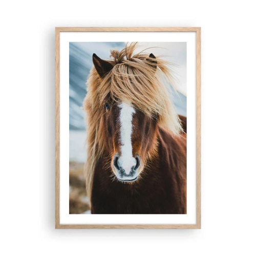 Plakat w ramie jasny dąb - Czujesz wolność? - 50x70 cm