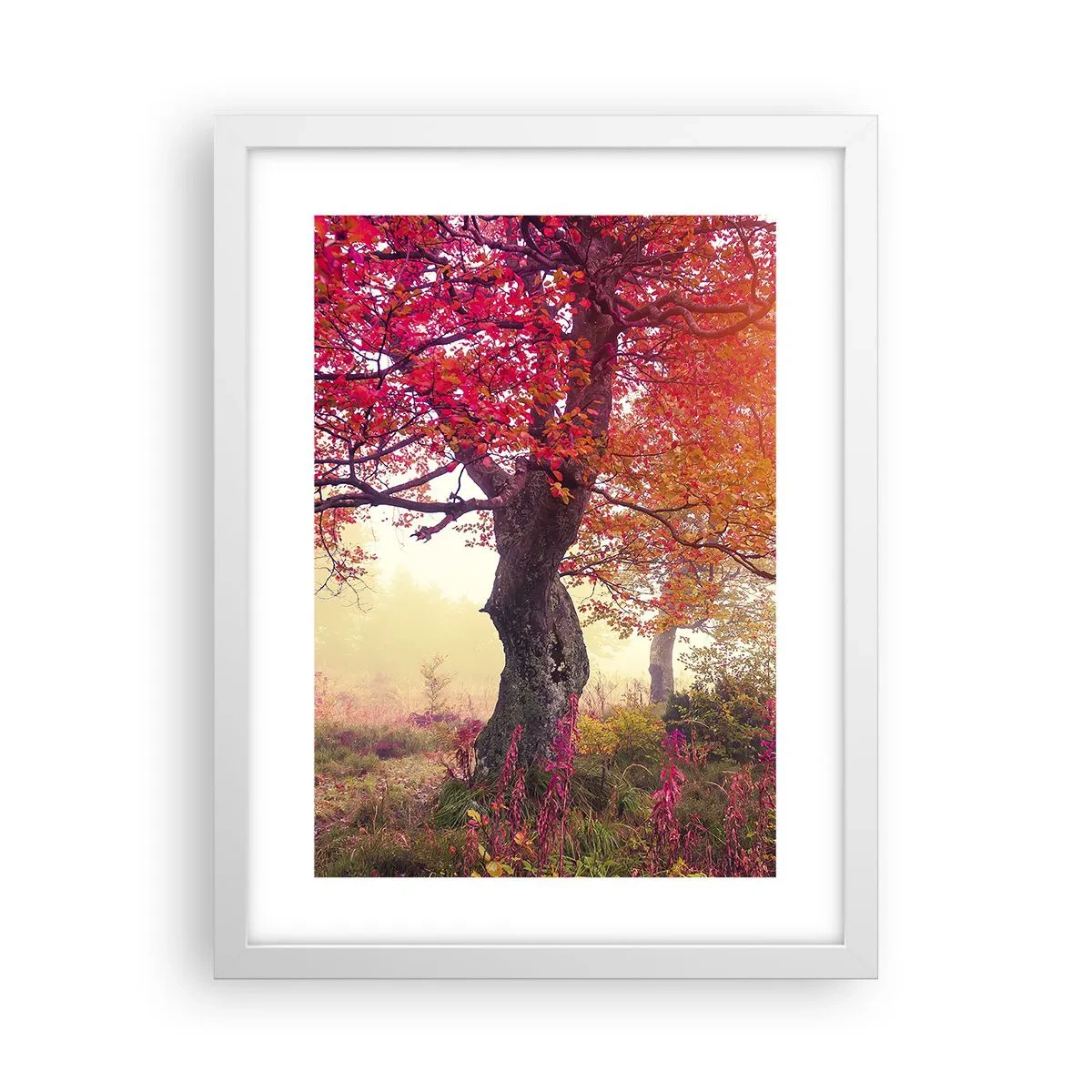 Plakat w białej ramie - Szał rozkwitu - 30x40 cm