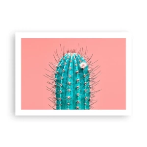 Plakat - Tylko patrz - 70x50 cm