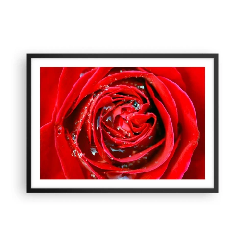 Plakat w czarnej ramie - Czerwona róża w zbliżeniu z kroplami wody na płatkach - 70x50cm - W kroplach rosy - Nowoczesna dekoracja ścienna do salonu i sypialni ARTTOR