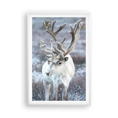 Plakat w białej ramie - Portret w słońcu - 61x91 cm