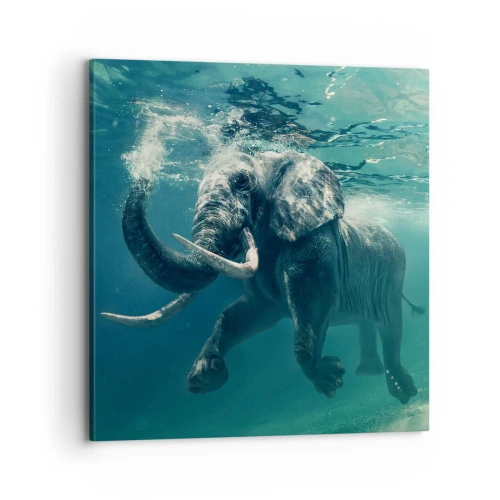 Obraz na płótnie - Wszyscy lubią pływać - 70x70 cm