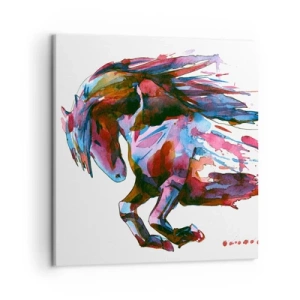 Obraz na płótnie - W uniesieniu - 50x50 cm