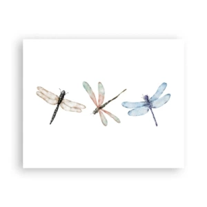 Plakat - Ważki nieważkie - 50x40 cm