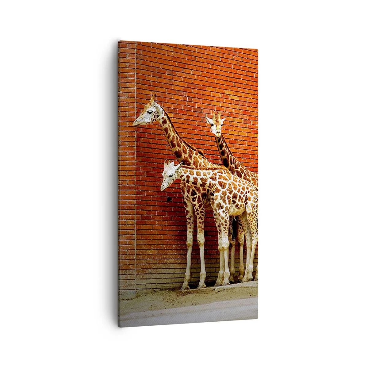 Obraz na płótnie - Widzicie jakąś akację? - 55x100 cm