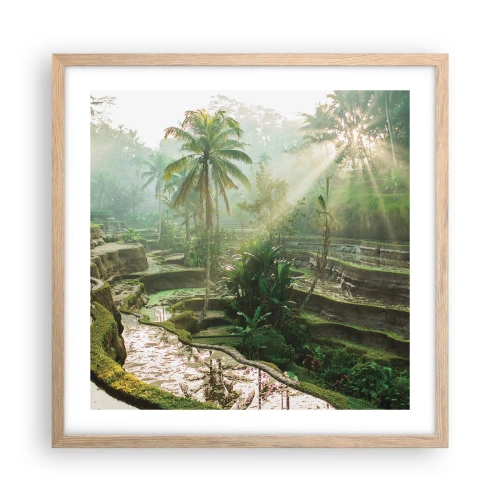 Plakat w ramie jasny dąb - Dorastać w słońcu - 50x50 cm