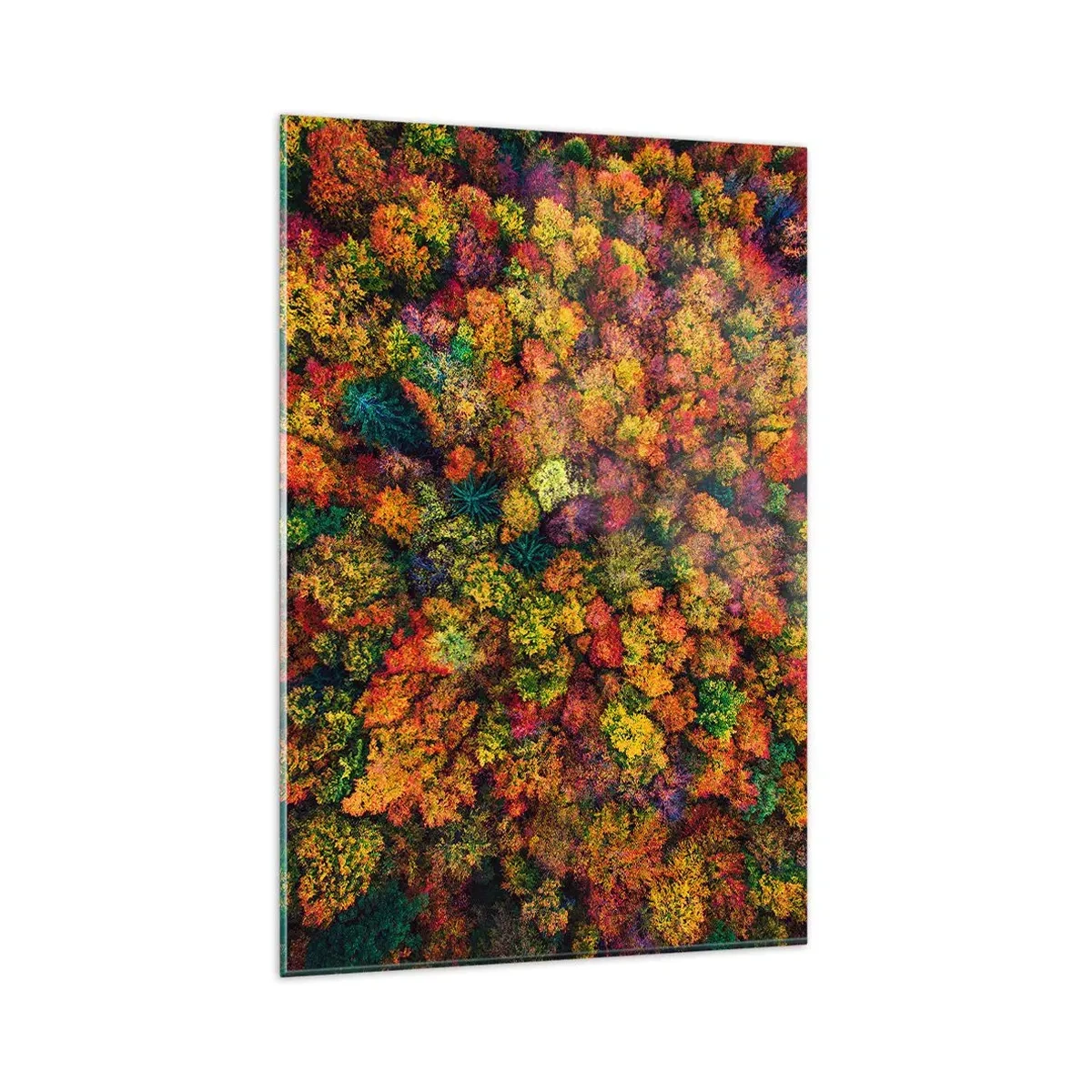 Obraz na szkle - Kolorowe korony drzew w jesiennej palecie barw - 80x120cm - Bukiet jesiennych drzew - Nowoczesna dekoracja ścienna do salonu i sypialni ARTTOR
