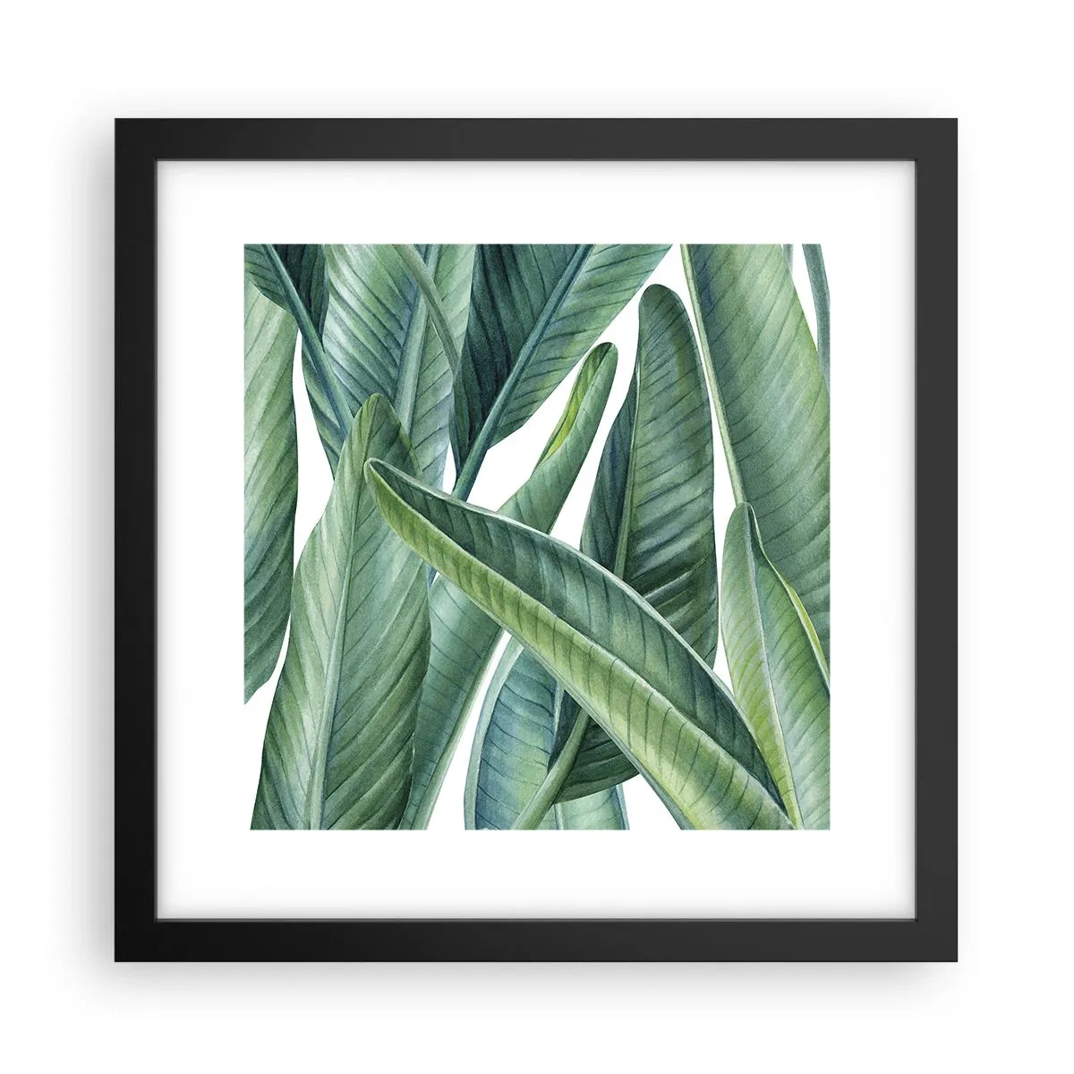 Plakat w czarnej ramie - Zieleń sama w sobie - 30x30 cm