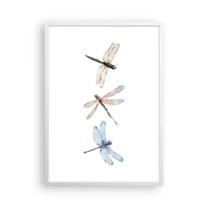 Plakat w białej ramie - Ważki nieważkie - 50x70 cm