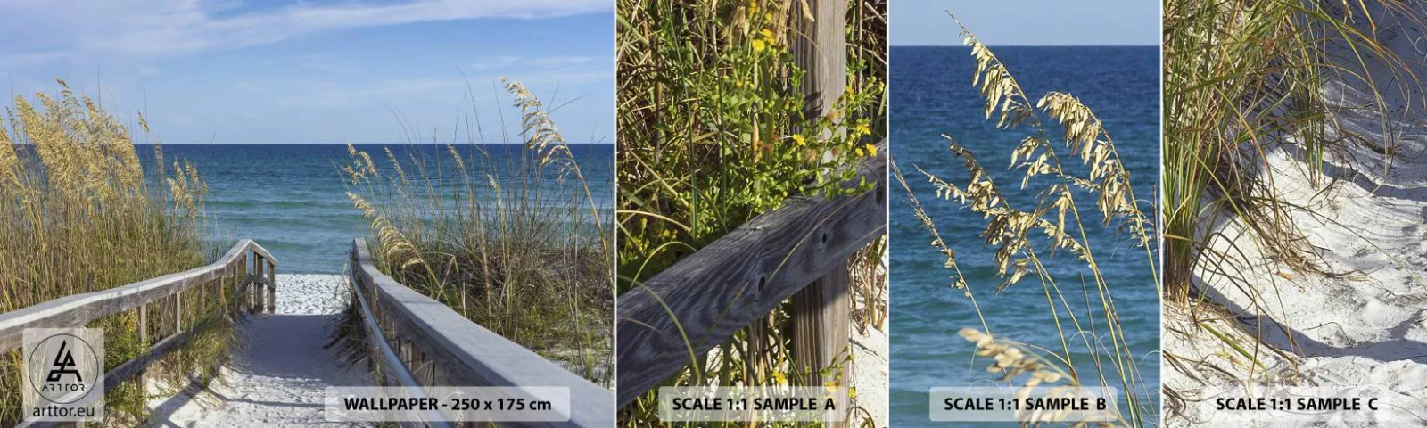 Fototapeta Próbka Standard Eco - W słońcu, na wietrze - Krajobraz, Morska Wydma, Morze - 100x30 cm