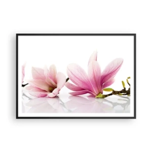 Plakat w czarnej ramie - Delikatne różowe magnolie na białym tle - 100x70cm - Delikatne jak powiew wiosny - Nowoczesna dekoracja ścienna do salonu i sypialni ARTTOR