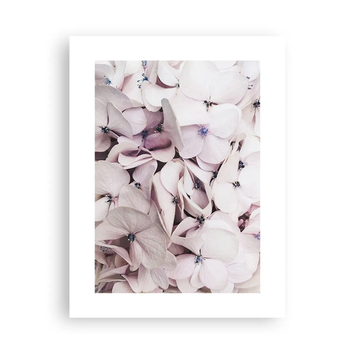 Plakat - W powodzi kwiatów - 30x40 cm