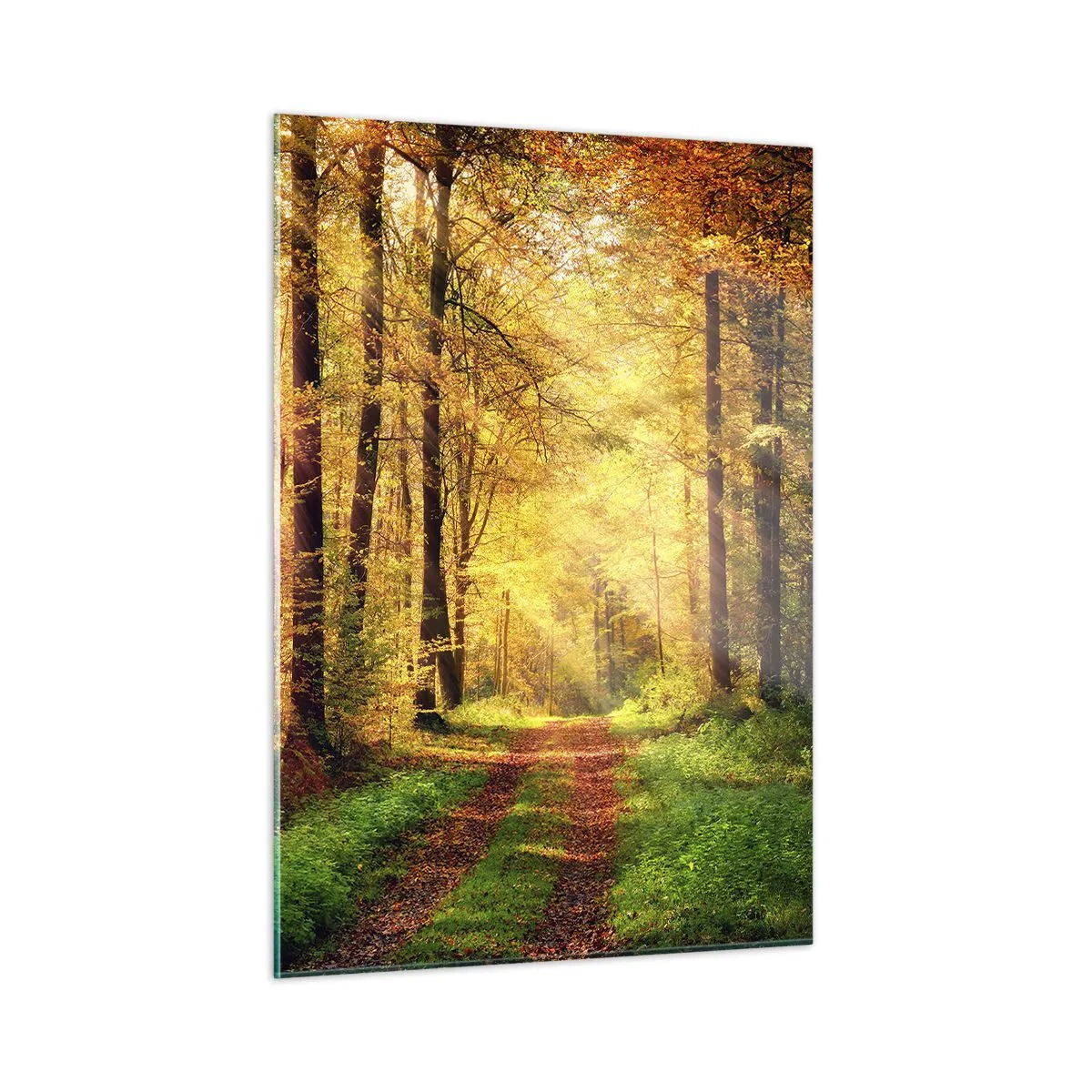 Obraz na szkle - Jesienna ścieżka w lesie z promieniami słońca - 50x70cm - Leśno-złota cisza - Nowoczesna dekoracja ścienna do salonu, kuchni i sypialni ARTTOR