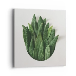 Obraz na płótnie - Nieposkromiona ciekawość - 40x40 cm