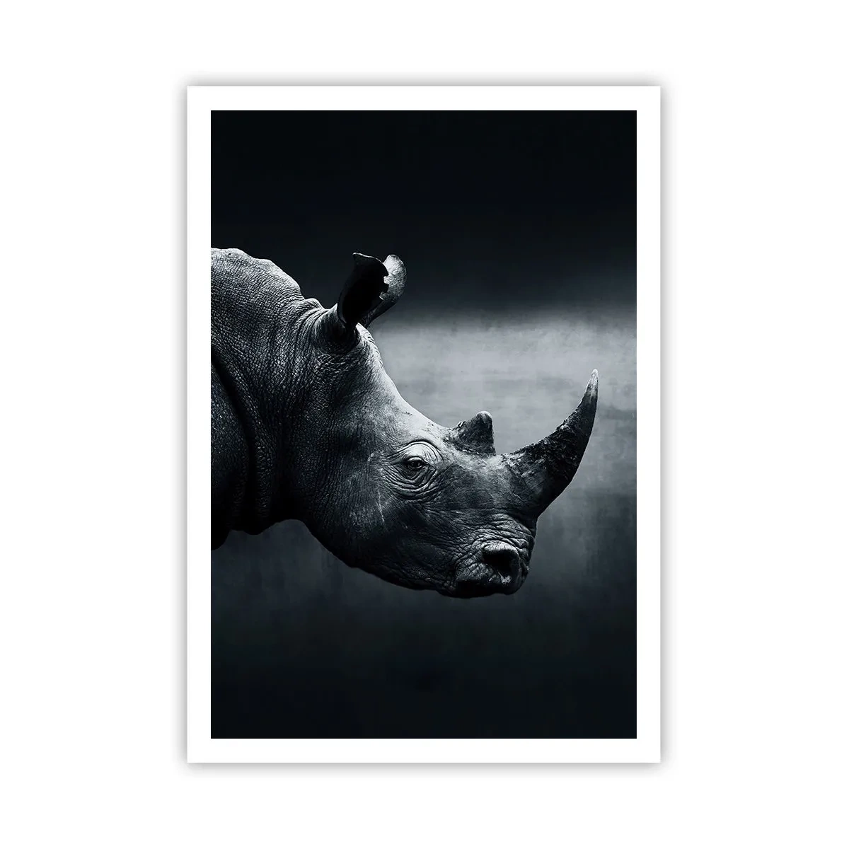 Plakat - Prawy profil - 70x100 cm