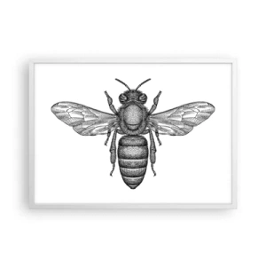 Plakat w białej ramie - Owadzi portret - 70x50 cm
