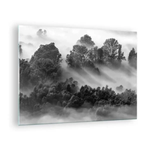 Obraz na szkle - Mglisty las w promieniach słońca w czerni i bieli - 70x50cm - Wstający ze snu - Nowoczesna dekoracja ścienna do salonu i sypialni ARTTOR